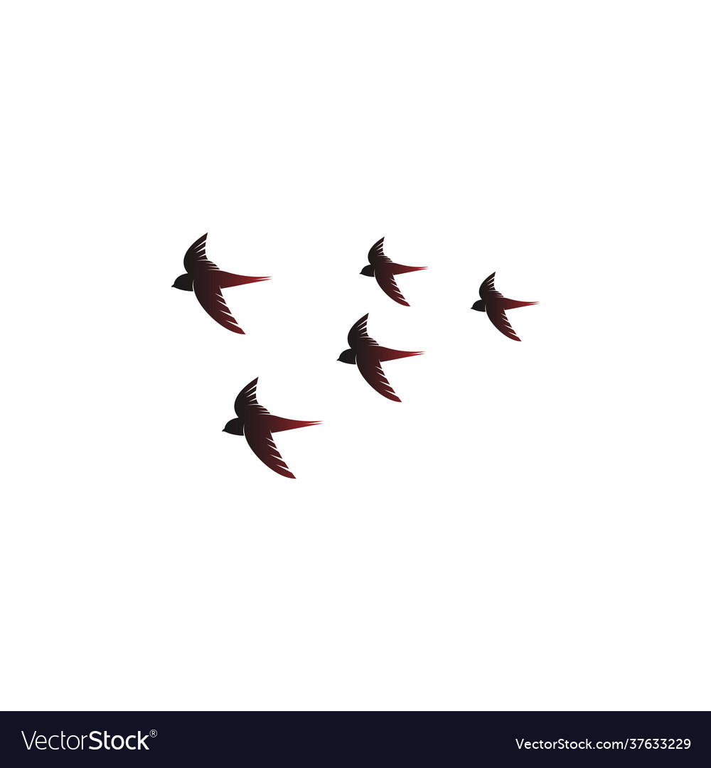 Simple design swift bird logo icon template