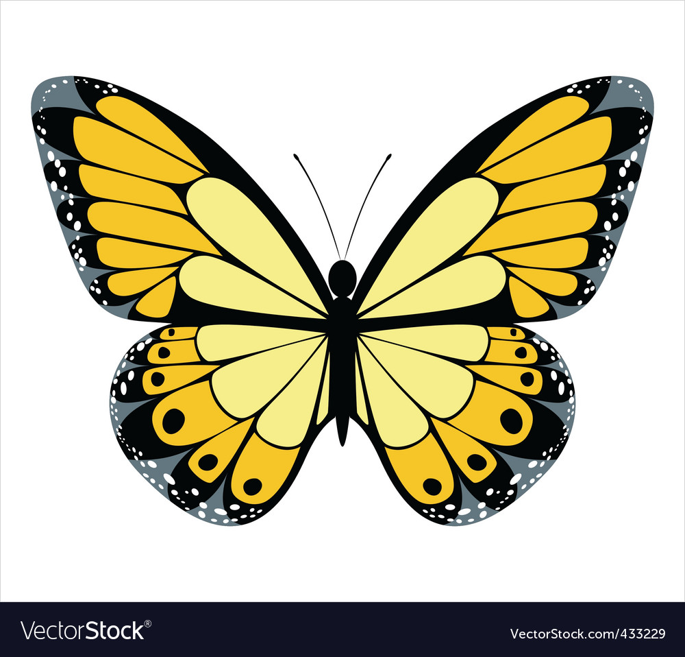 Download Yellow butterfly Royalty Free Vector Image - VectorStock