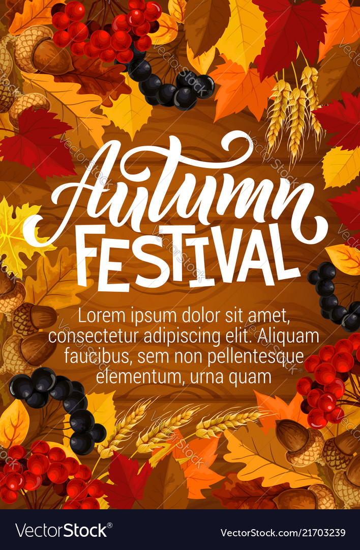 Autumn festival poster berries in foliage Vector Image