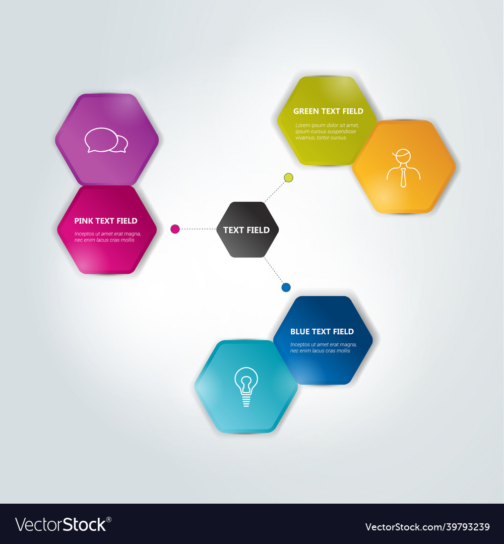 Circle hexagonal scheme chart infographics Vector Image