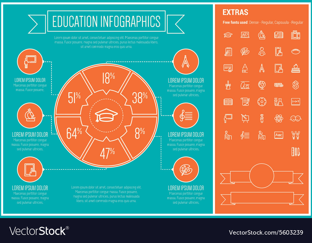 Education line design infographic template Vector Image