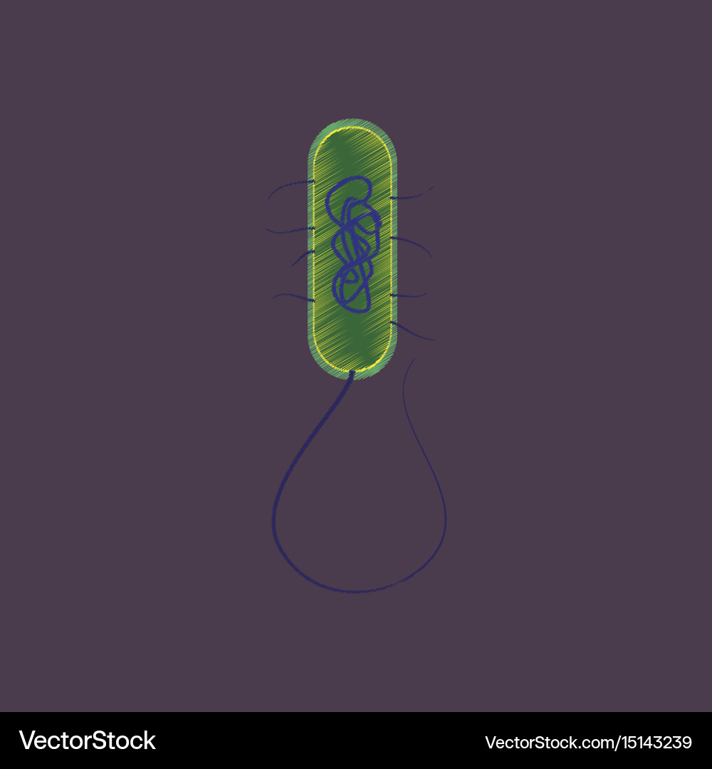 Flat shading style icon bacteria Royalty Free Vector Image