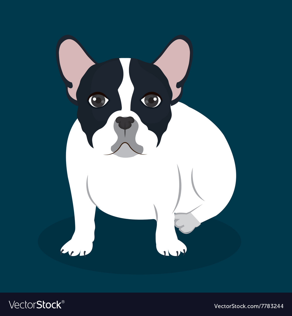 Bulldog breed design