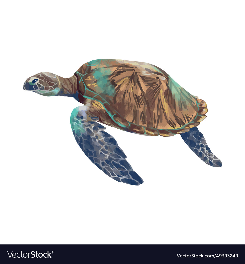 Large sea turtle Royalty Free Vector Image - VectorStock