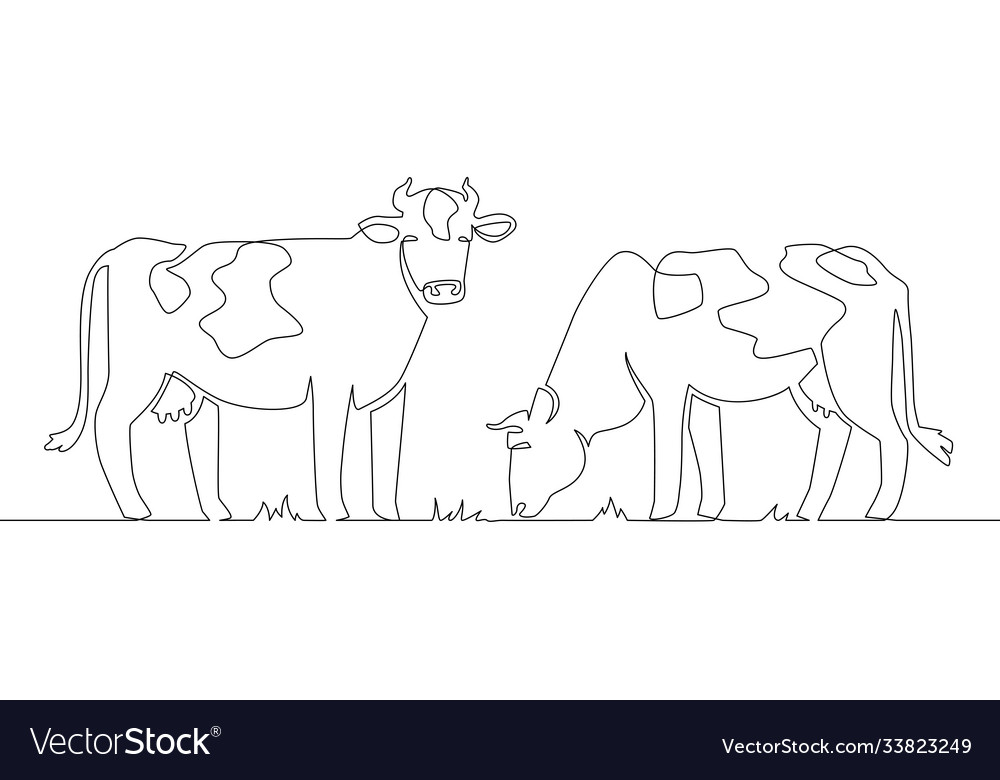 One line cows milk cow animal livestock and beef Vector Image