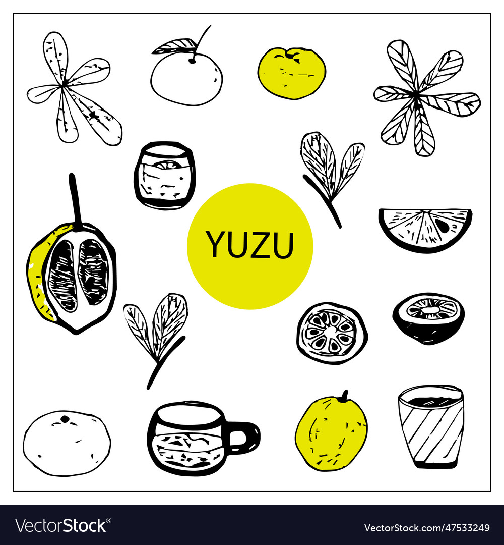 Set of doodle yuzu fruit elements