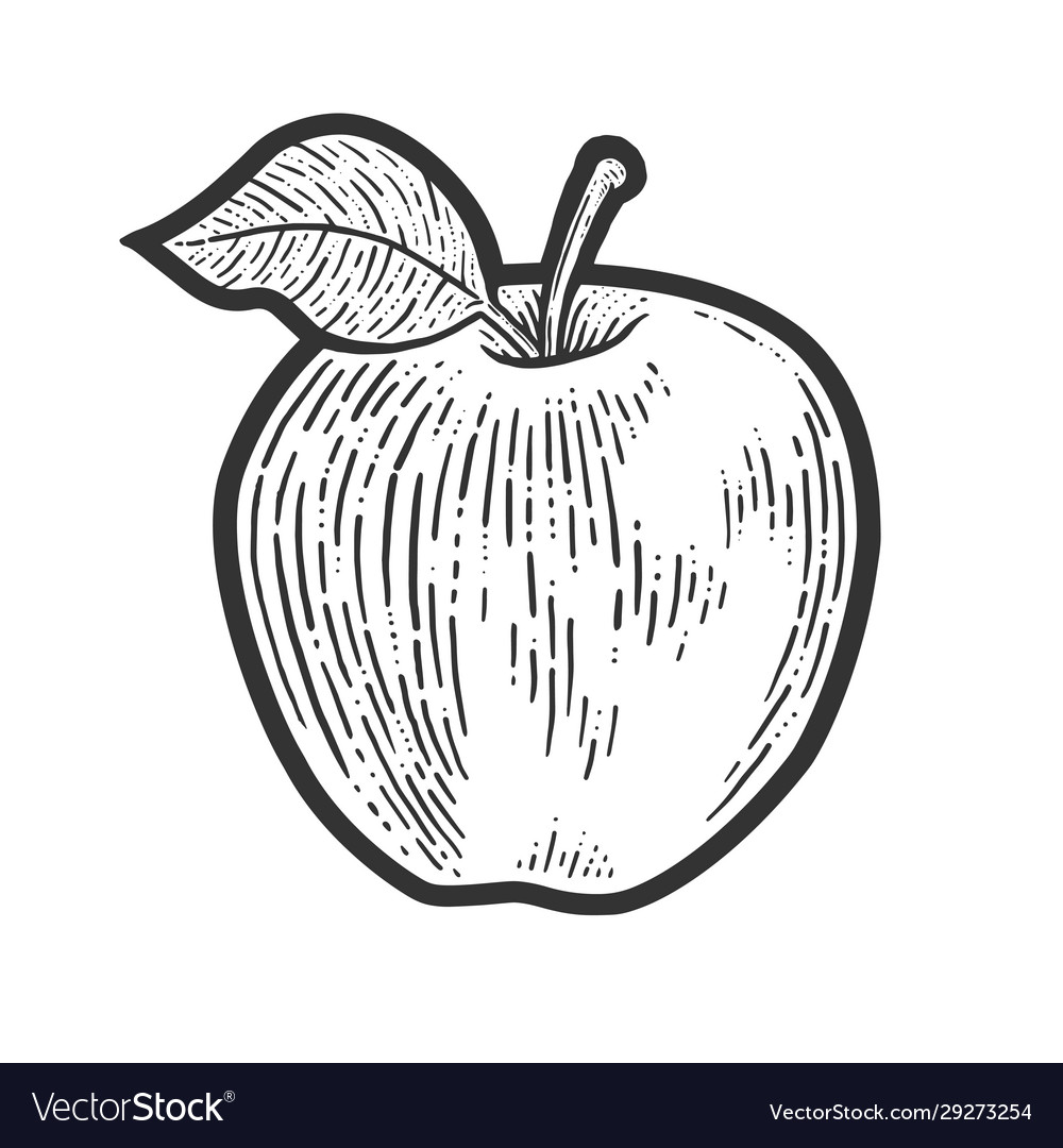 How to Draw an Apple  Easy Drawing Art