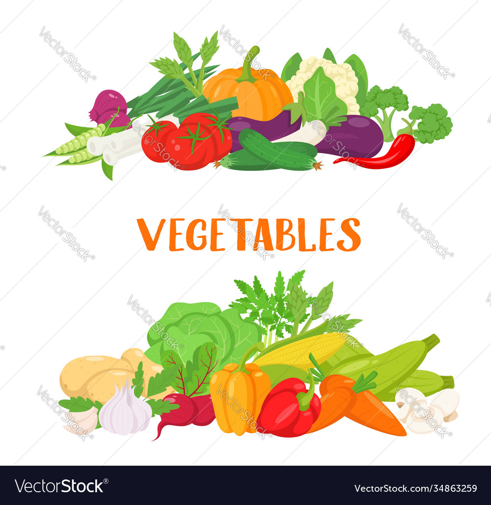 Banner with colorful vegetables Royalty Free Vector Image