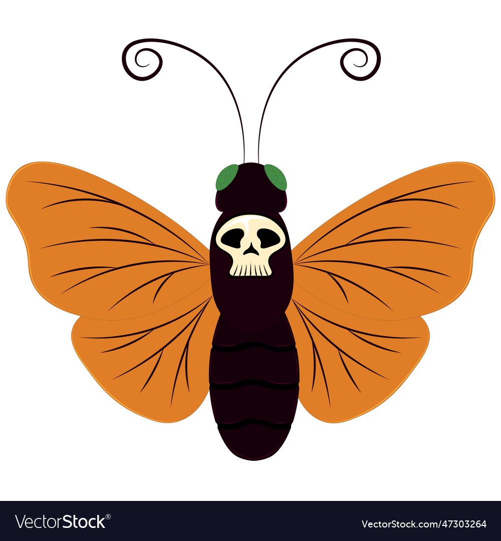 Deaths head hawkmoth artwork Royalty Free Vector Image