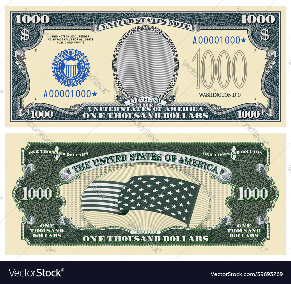 Fictional template obverse and reverse of us Vector Image