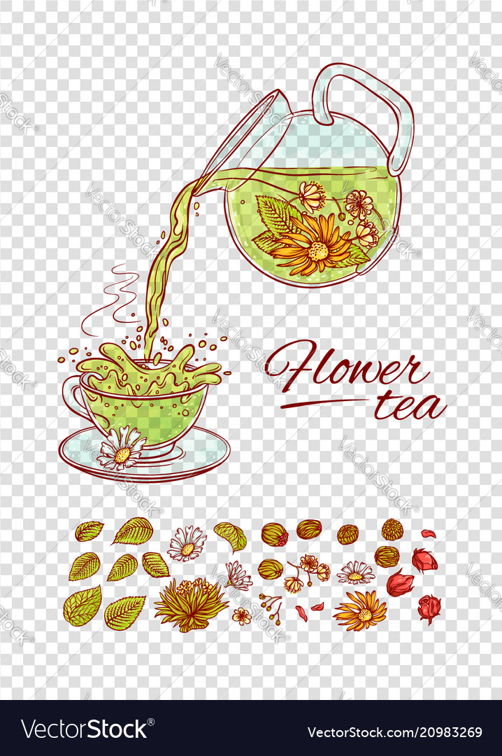 Tea constructor flowers brew process make