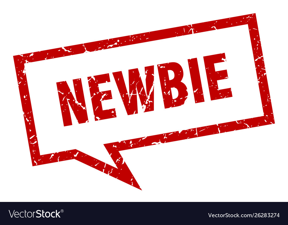 Newbie sign square speech bubble Royalty Free Vector Image