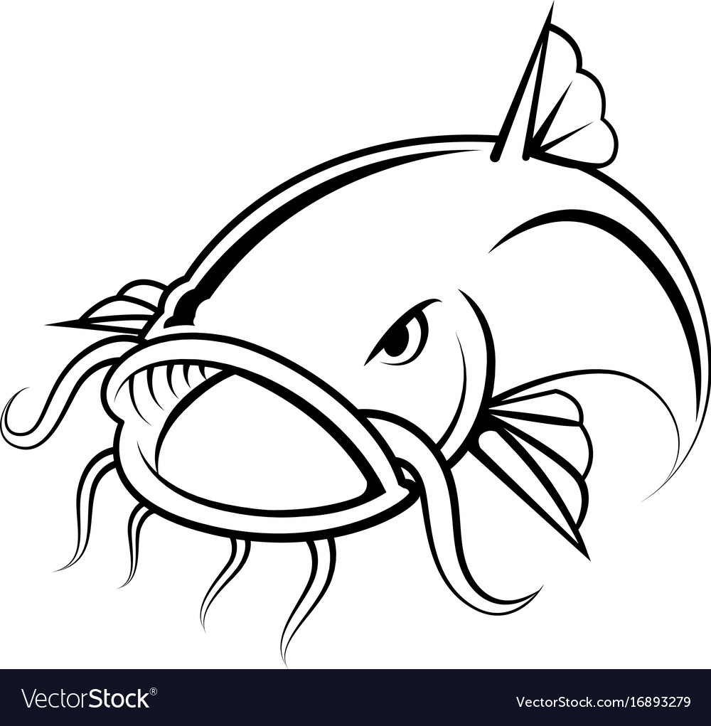 Graphic catfish on white background Royalty Free Vector