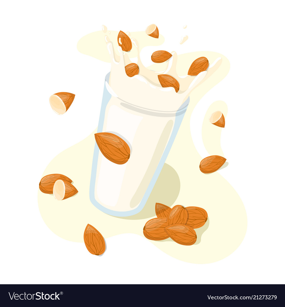 Homemade almond milk splash in a glass with whole Vector Image