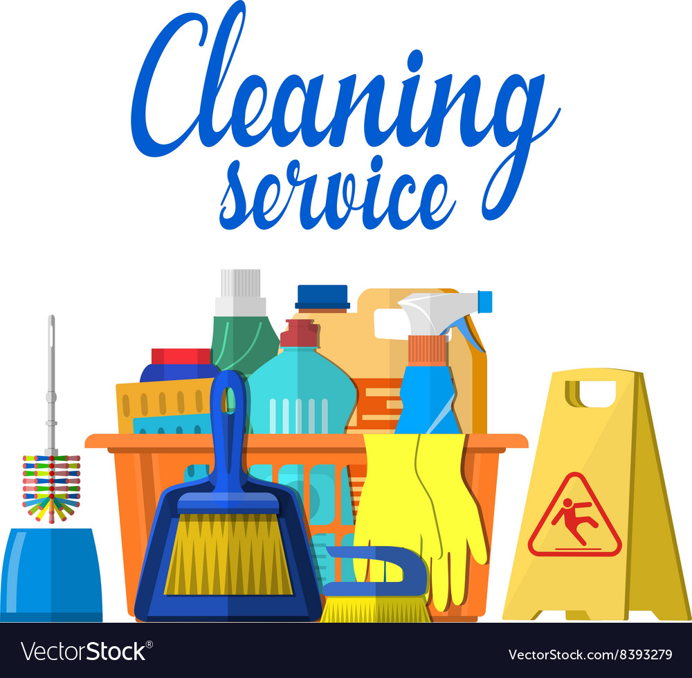 Household cleaning products and accessories Vector Image