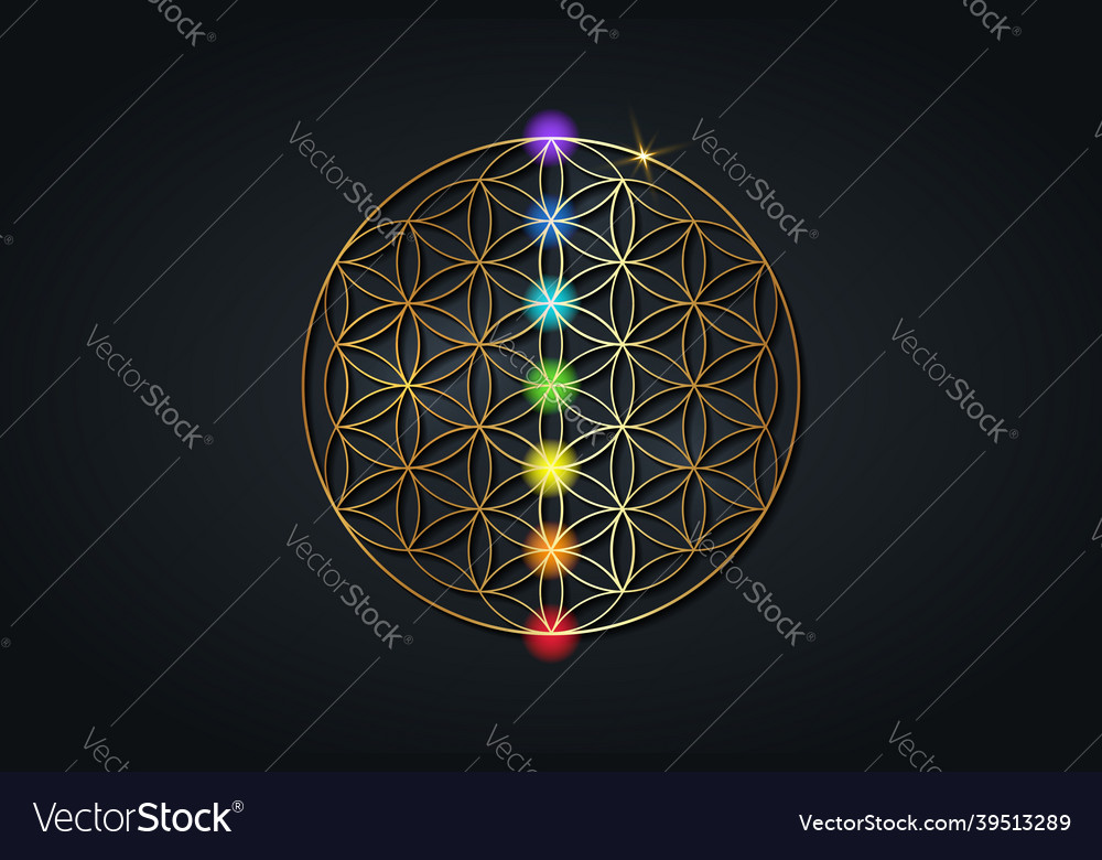 Gold sacred flower of life and the seven chakras vector image Gold sacred flower of life and the seven chakras