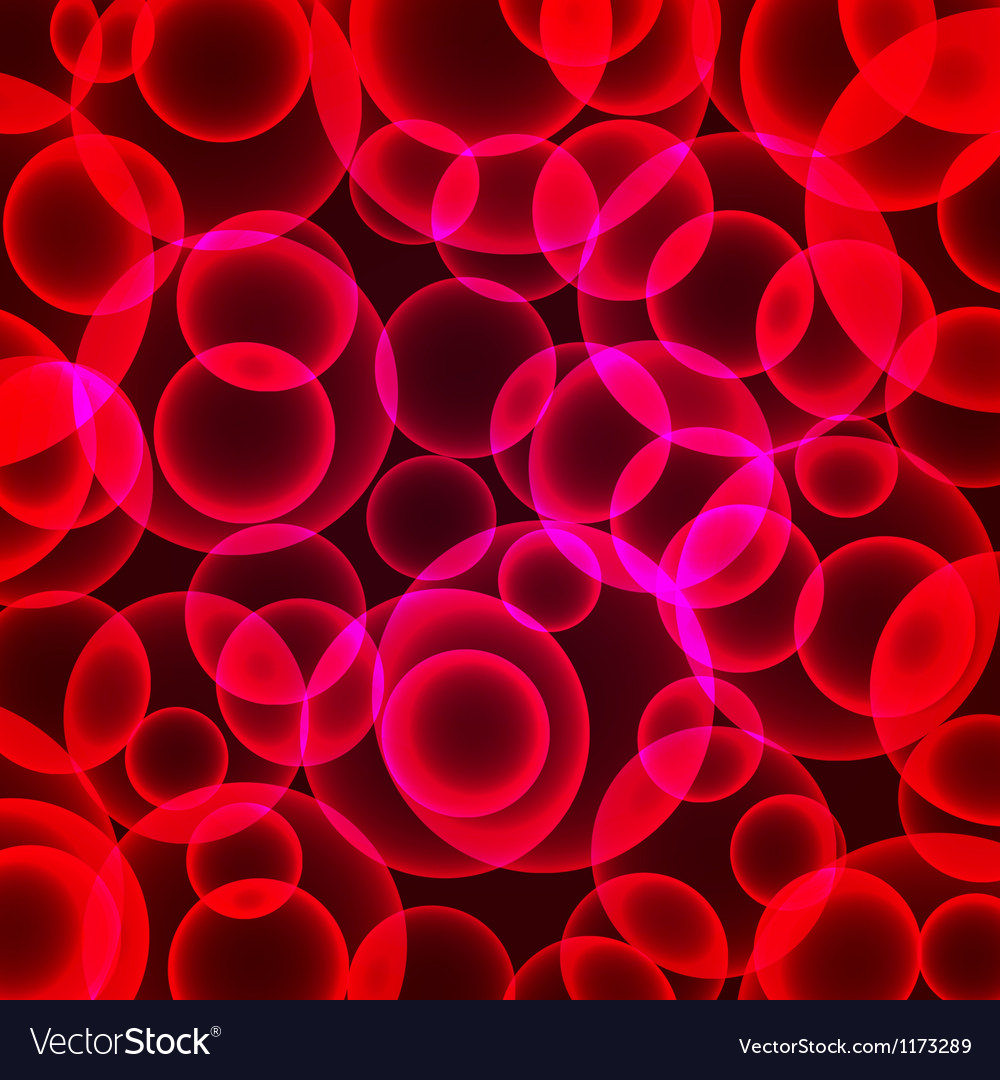seamless red roses bokeh
