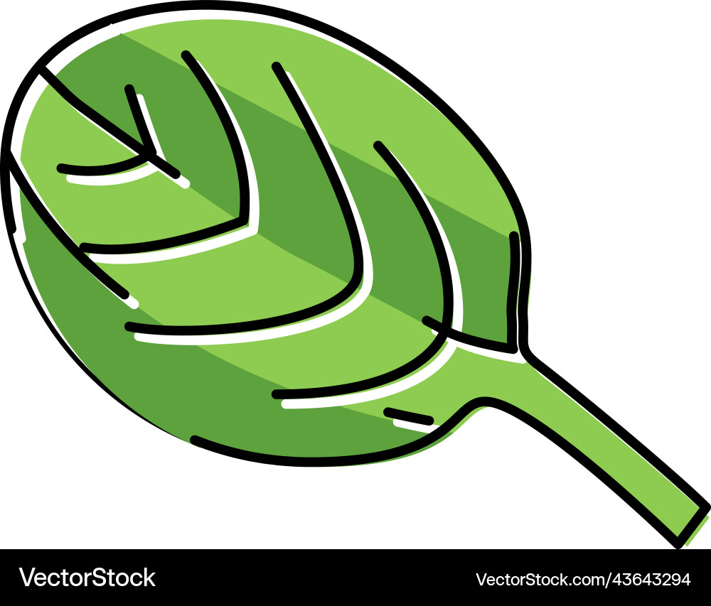 Leaf spinach color icon Royalty Free Vector Image