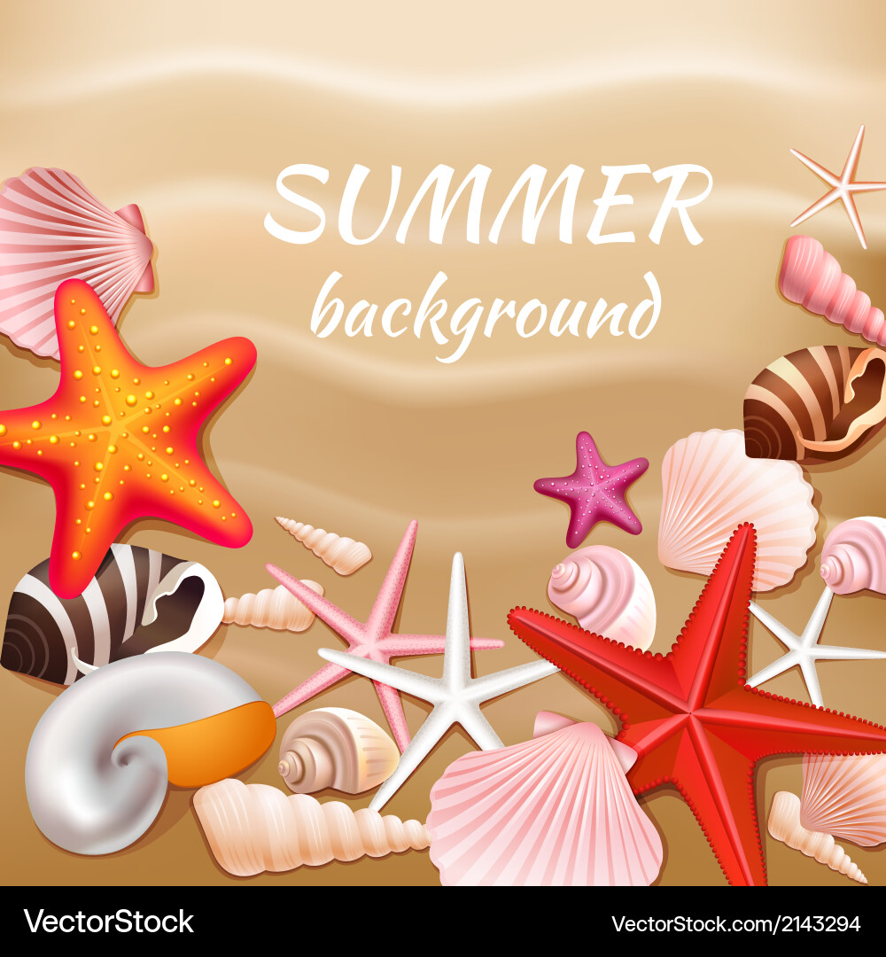 Seashell sand summer background Royalty Free Vector Image