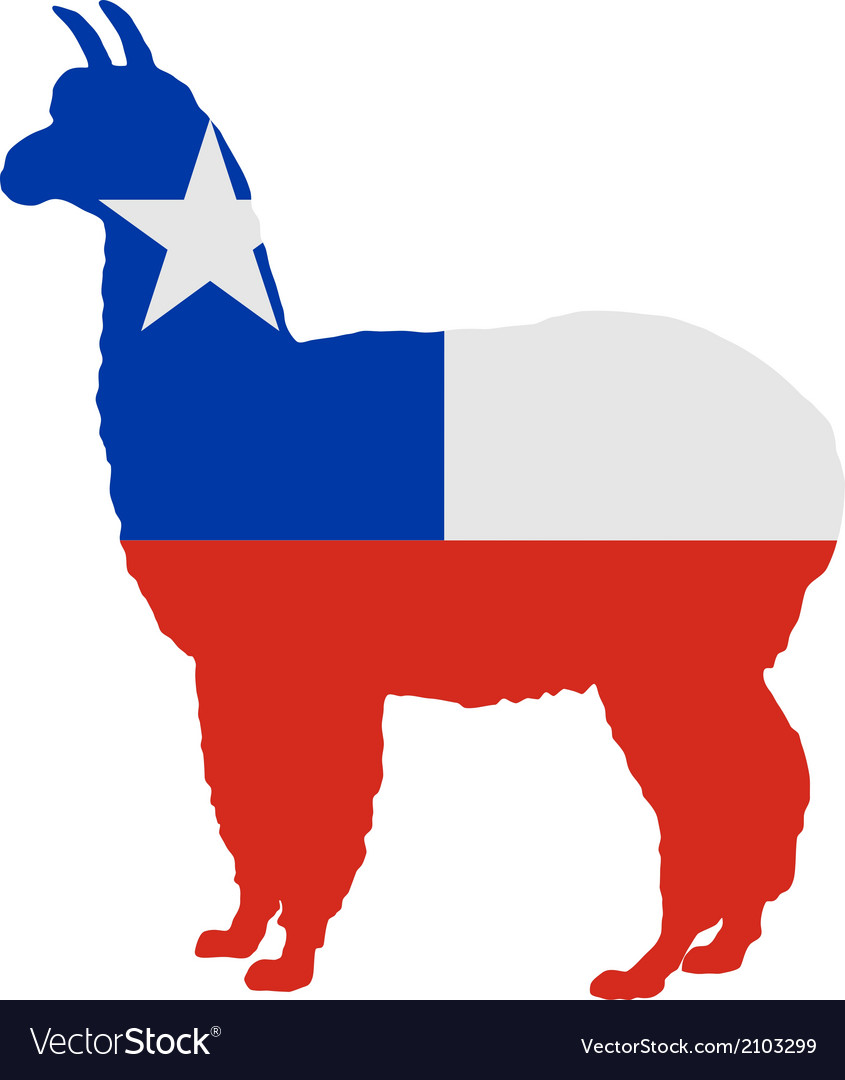 Chilean alpaca