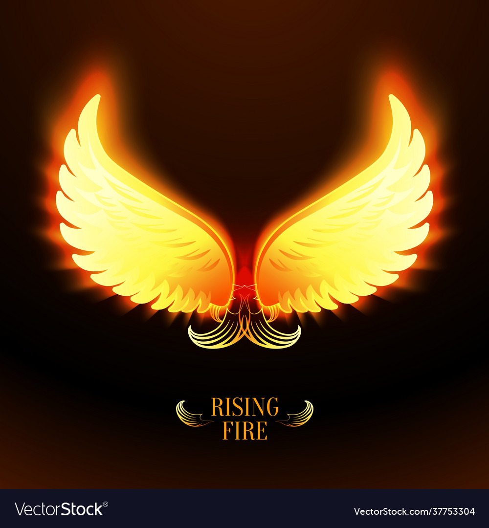 Bright glowing fire angel wings Royalty Free Vector Image