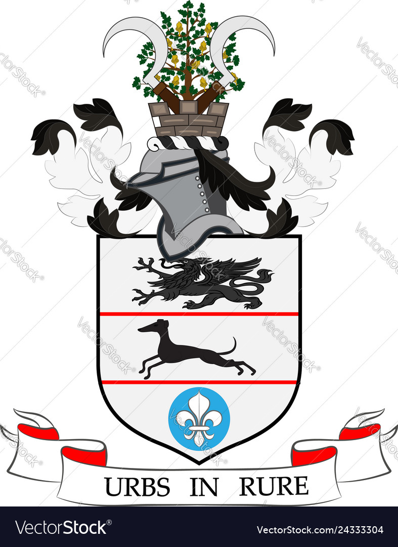 Coat of arms solihull in england Royalty Free Vector Image