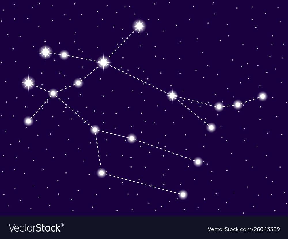 Gemini constellation starry night sky Royalty Free Vector