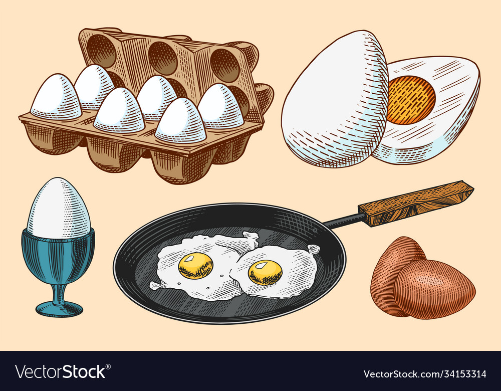 Frying pan with fried eggs and scrambled omelette Vector Image