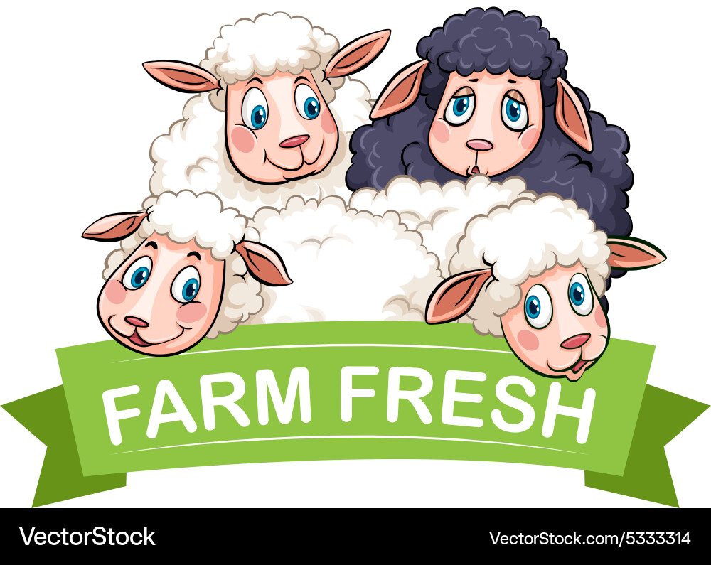 Sheep Royalty Free Vector Image - VectorStock