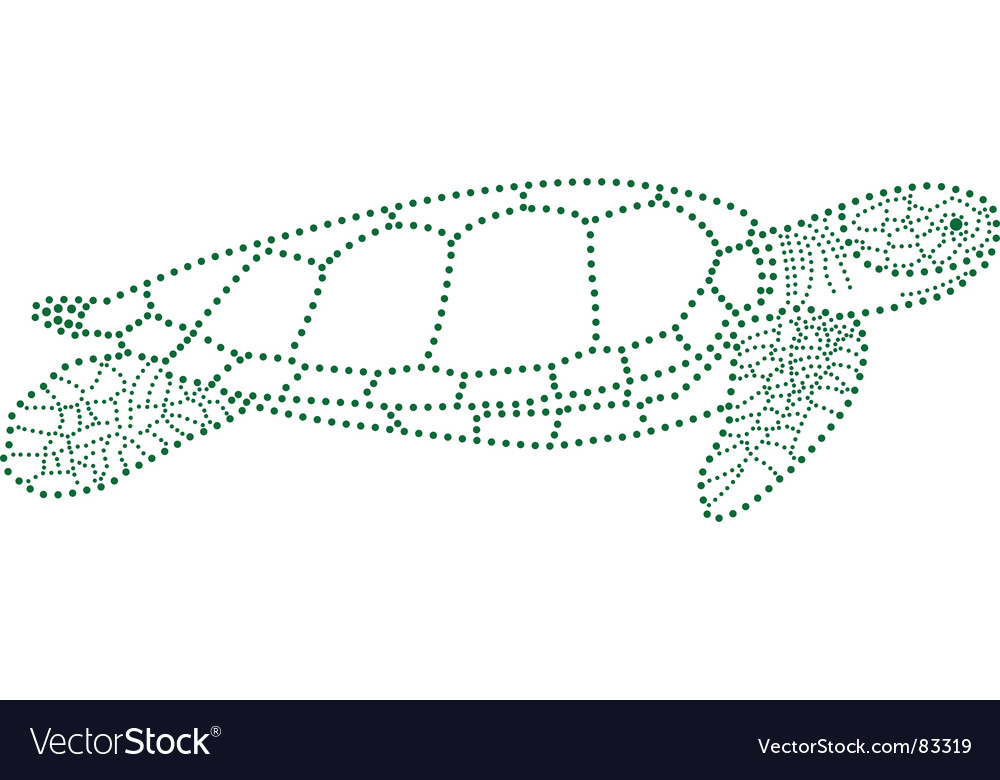 Seeschildkröte