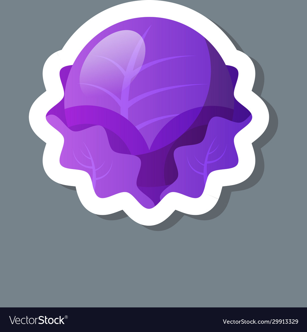 Fresh red cabbage sticker tasty vegetable icon