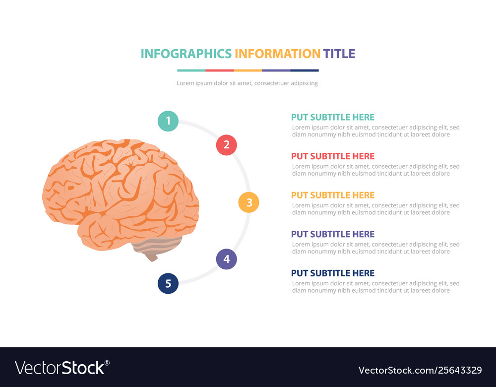 The Mechanics of the Brain (Infographic)