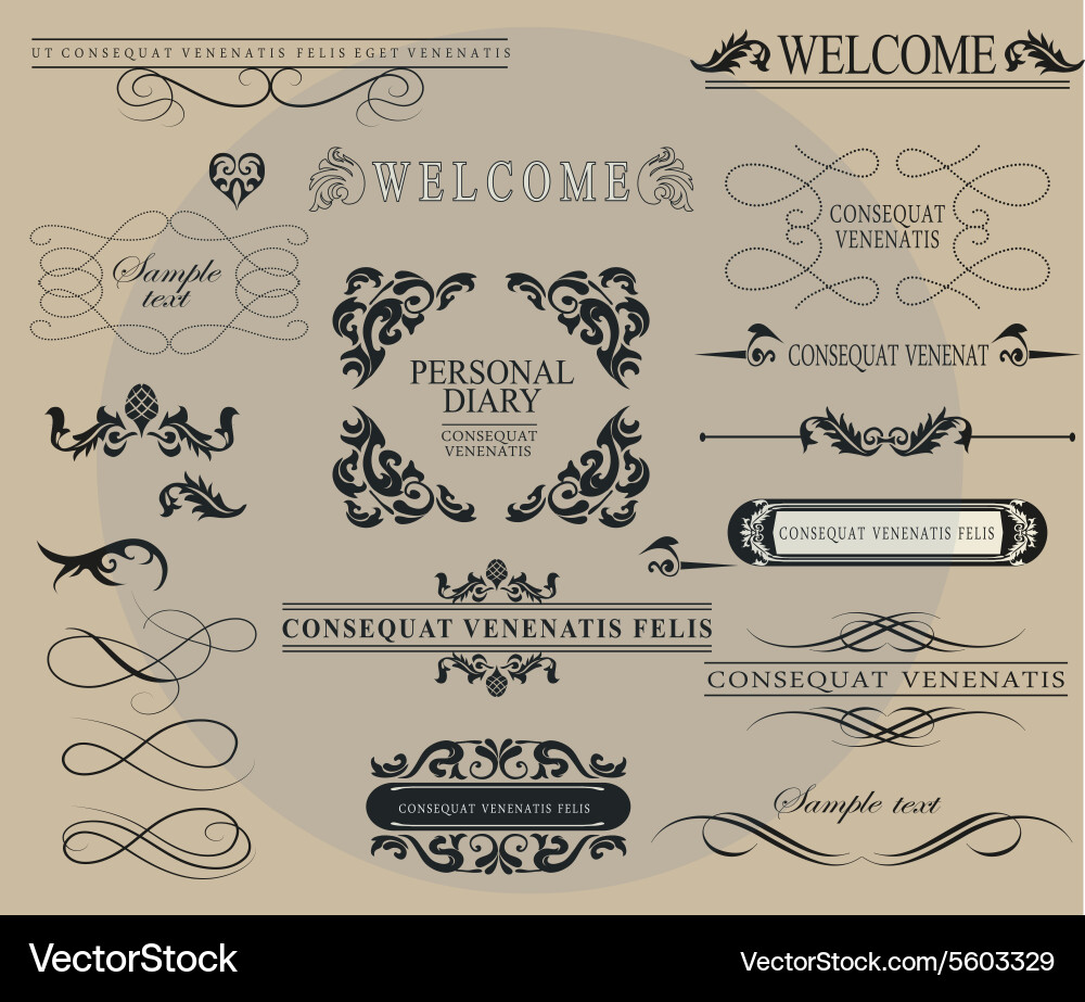 Set calligraphic elements for design Royalty Free Vector