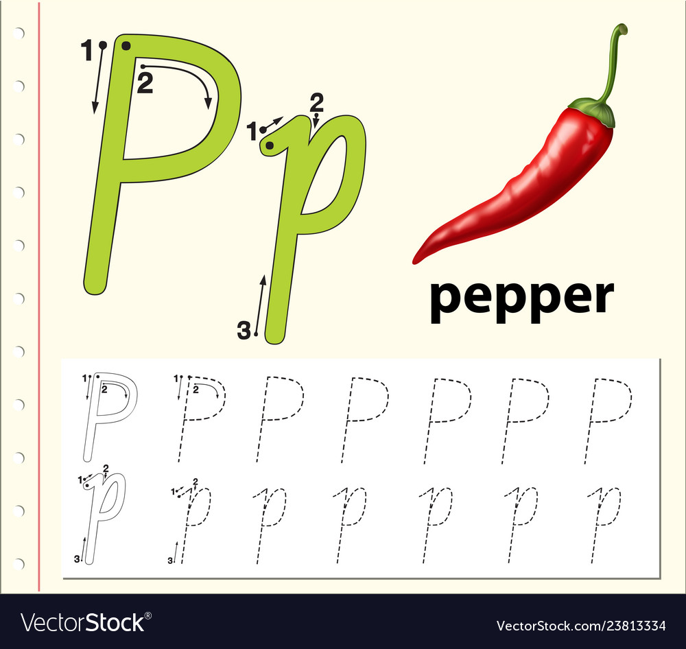 Letter p tracing alphabet worksheets