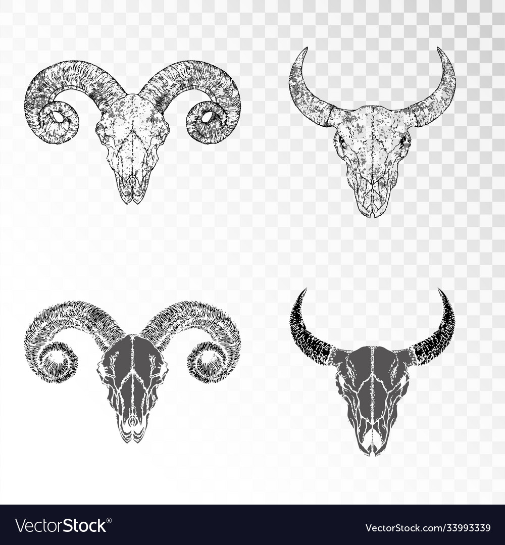 Set hand drawn skulls horned