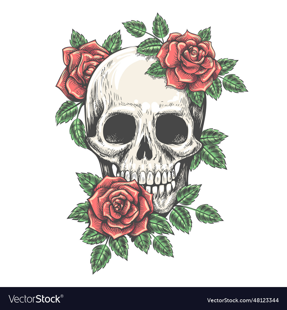 Rose skull tattoo sketch vector image Rose skull tattoo sketch