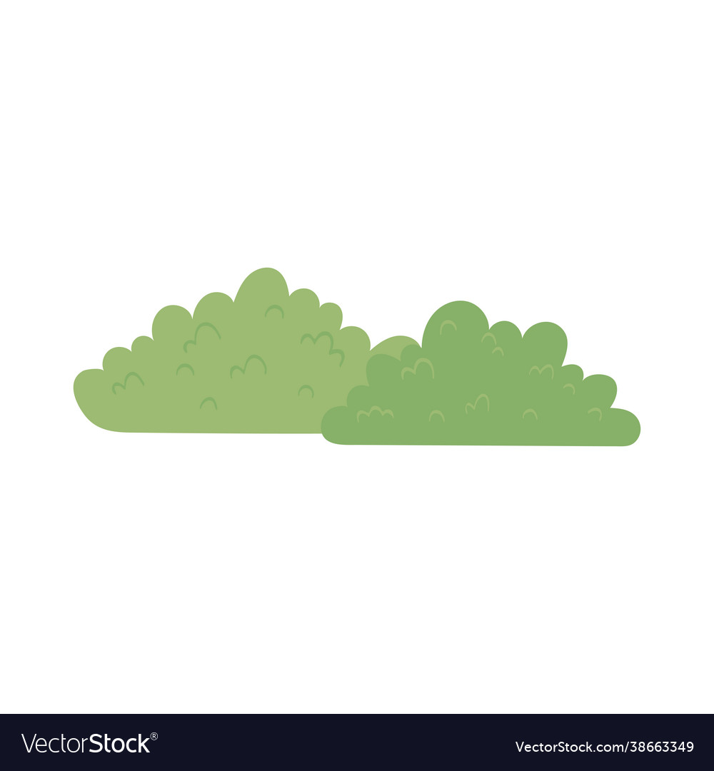 Natural green bush Royalty Free Vector Image - VectorStock