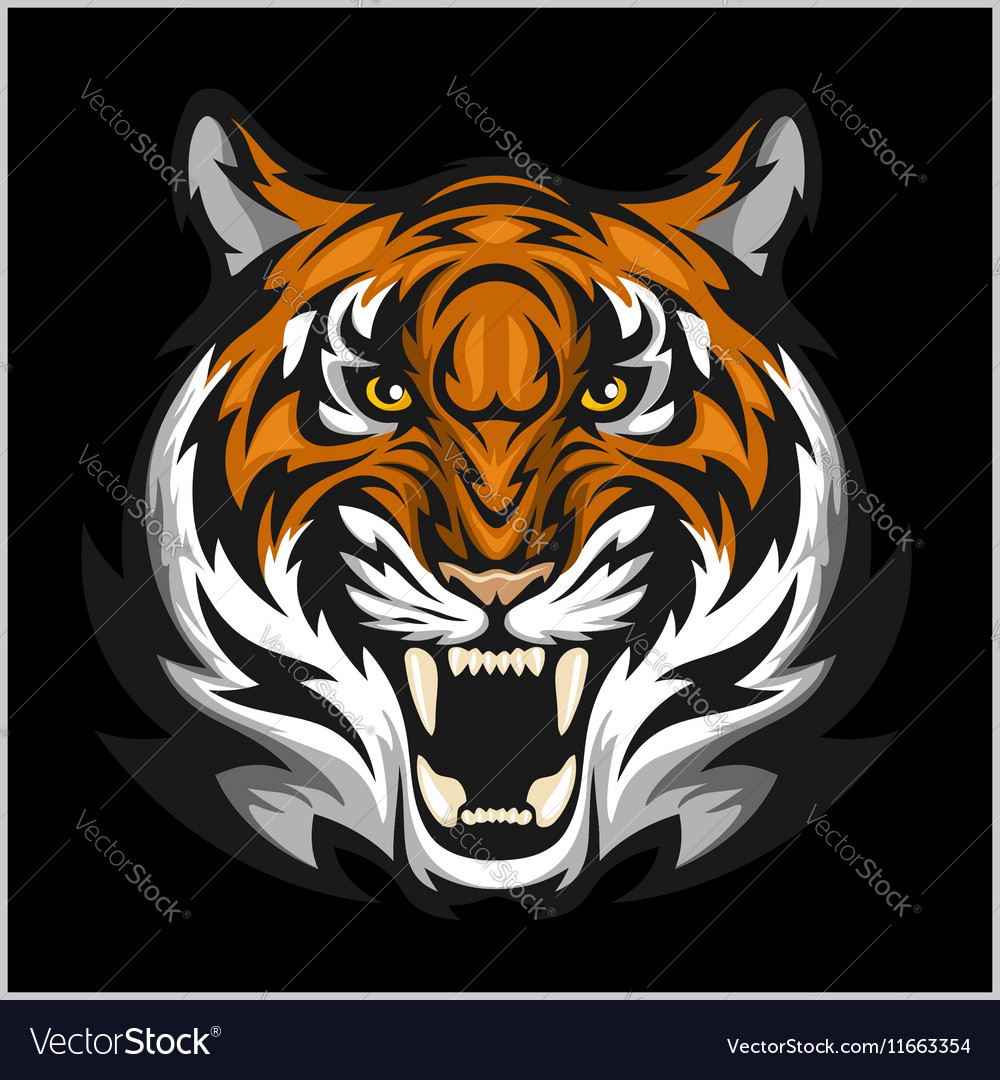 tigers face of a tiger head royalty free vector image