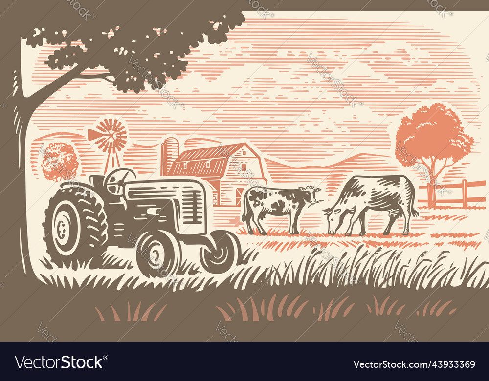 Country farm with tractor and cows countryside Vector Image