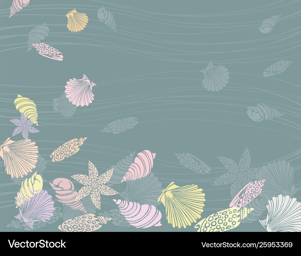 Seashells Royalty Free Vector Image - VectorStock