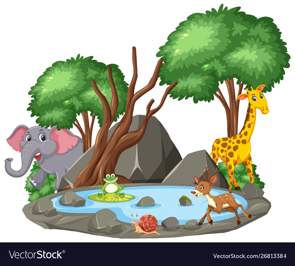 Background scene wild animals and pond