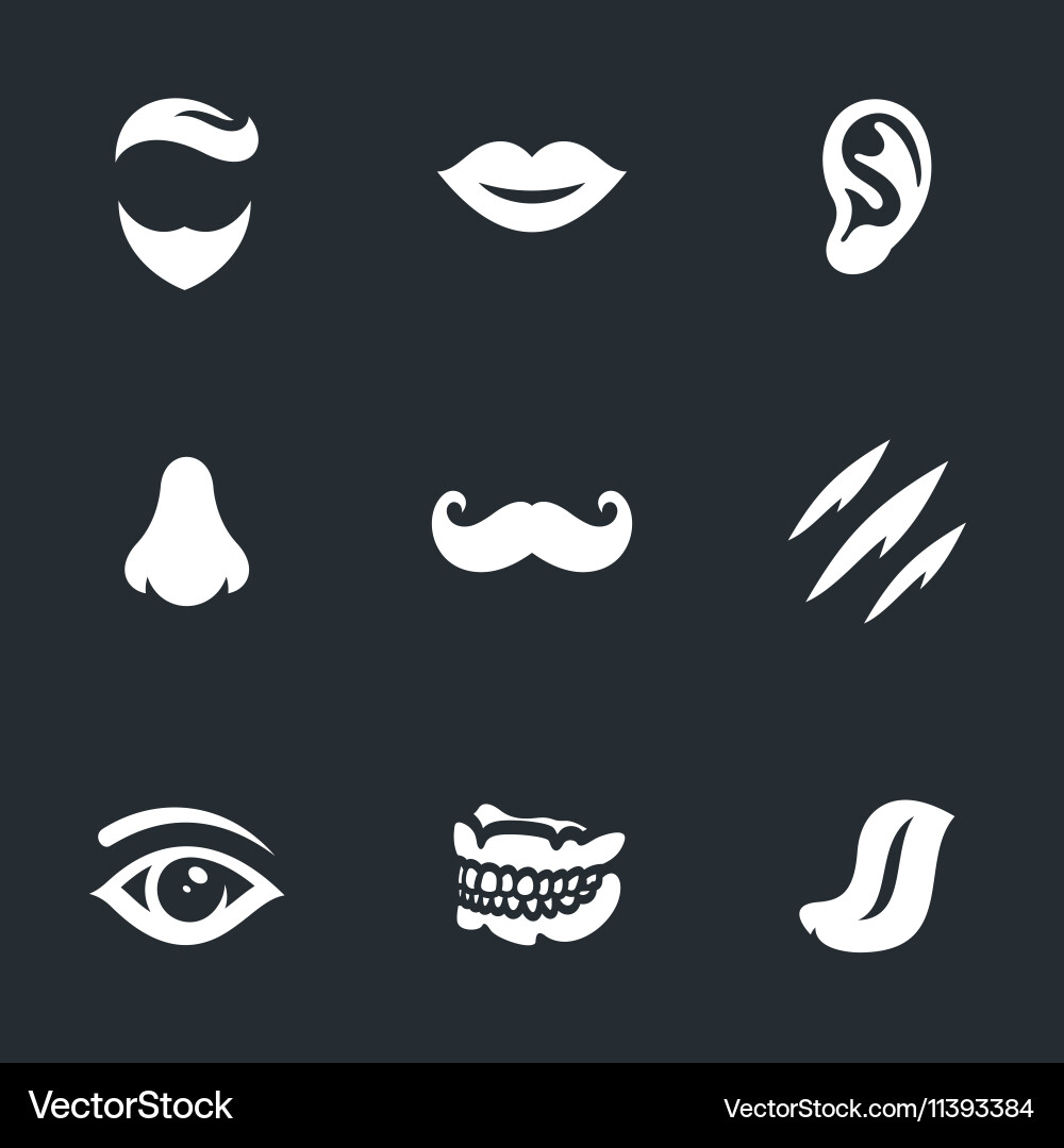 Set of face parts Royalty Free Vector Image - VectorStock