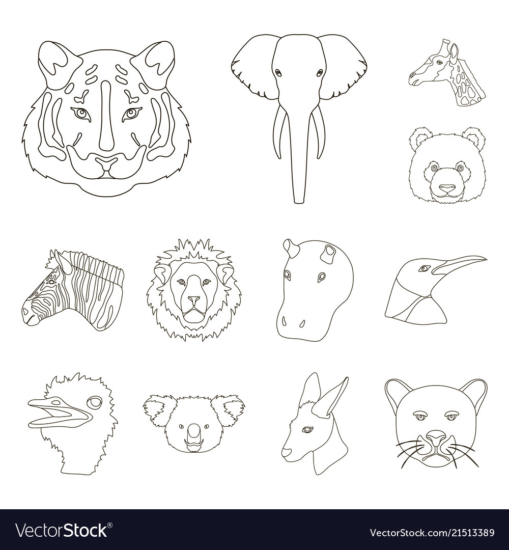 Wild animal outline icons in set collection Vector Image Wild animal outline icons in set collection Vector Image