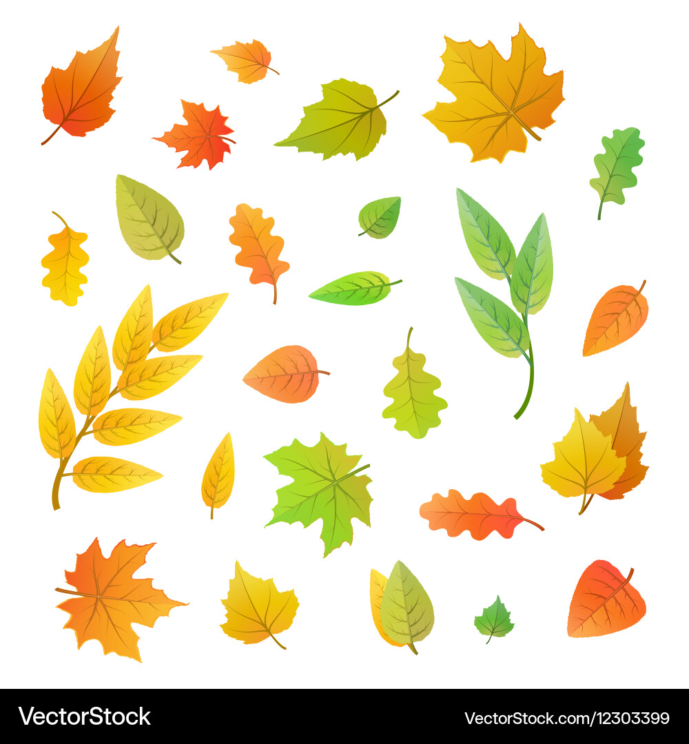 Set Of Silhouettes Of Leaves Of Different Trees