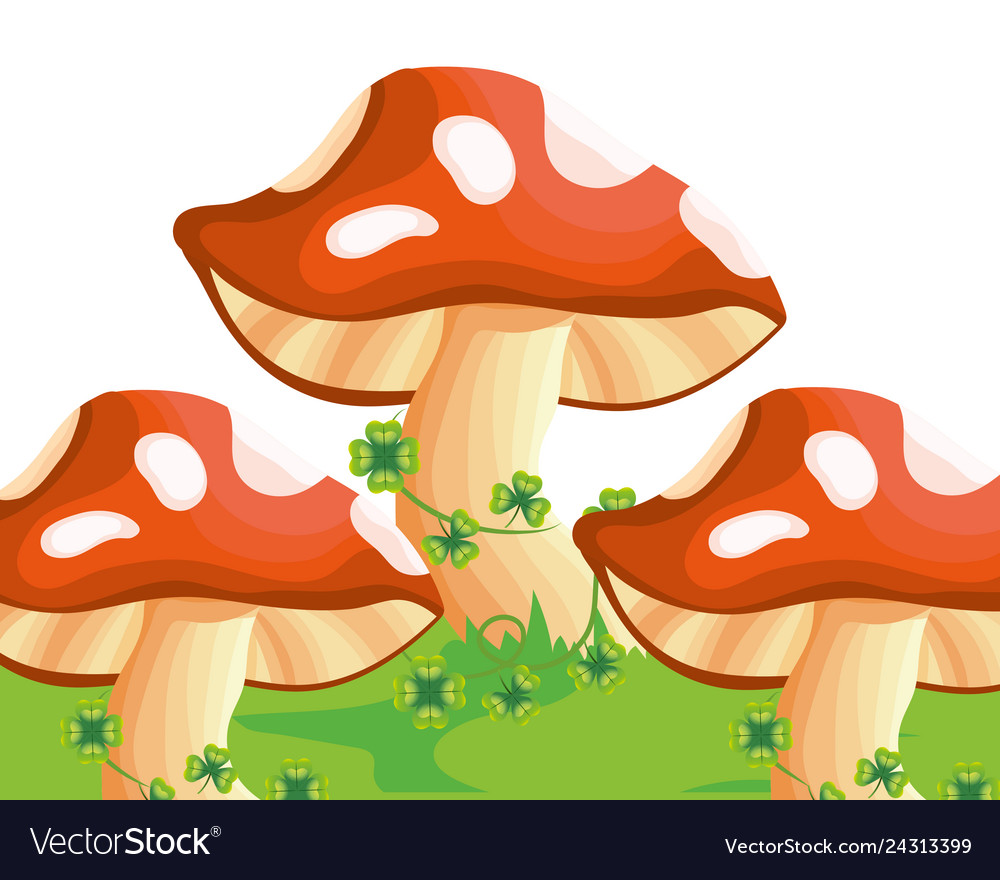 Raw mushrooms cartoon Royalty Free Vector Image