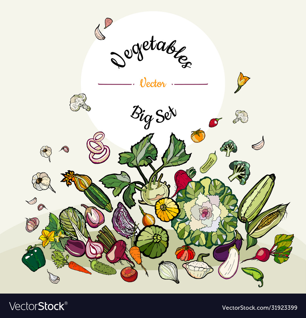 Vegetables hand drawn harvest festival poster