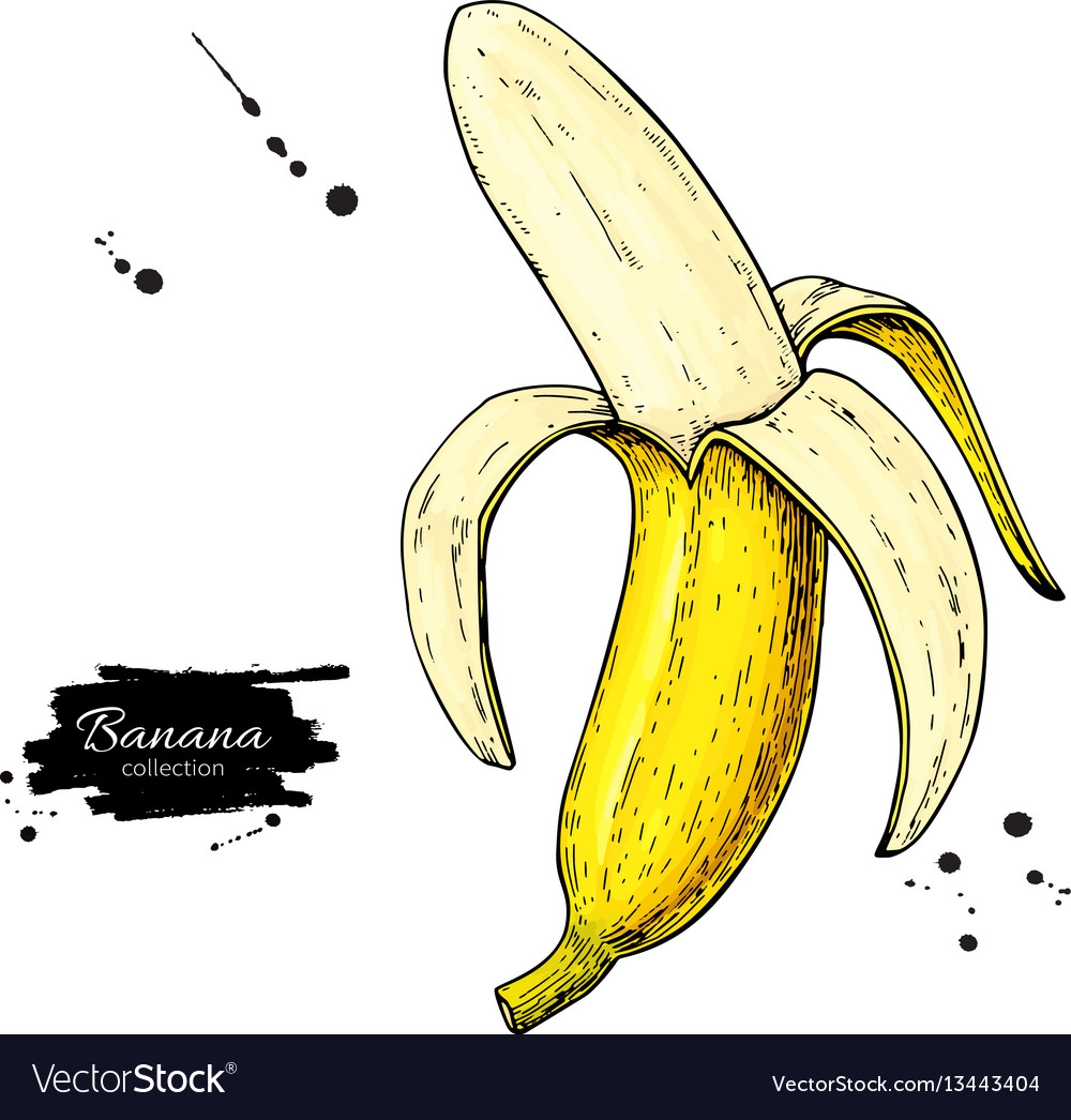 144,075 Banana Drawing Royalty-Free Images, Stock Photos & Pictures |  Shutterstock