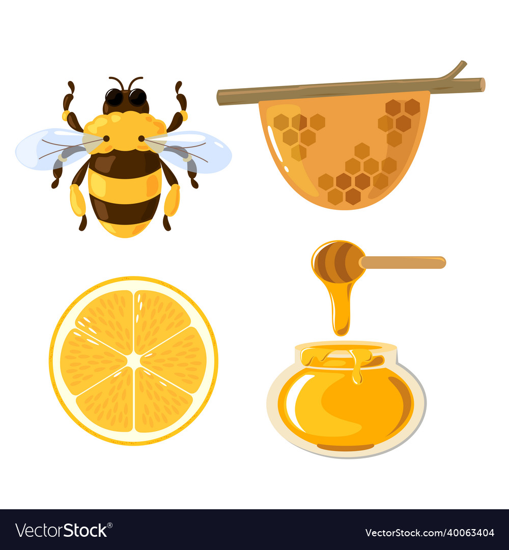 Bee cartoon image lemon and honey Royalty Free Vector Image