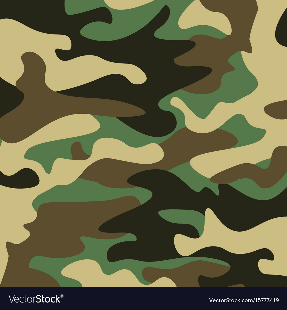 Camouflage pattern background classic clothing Vector Image