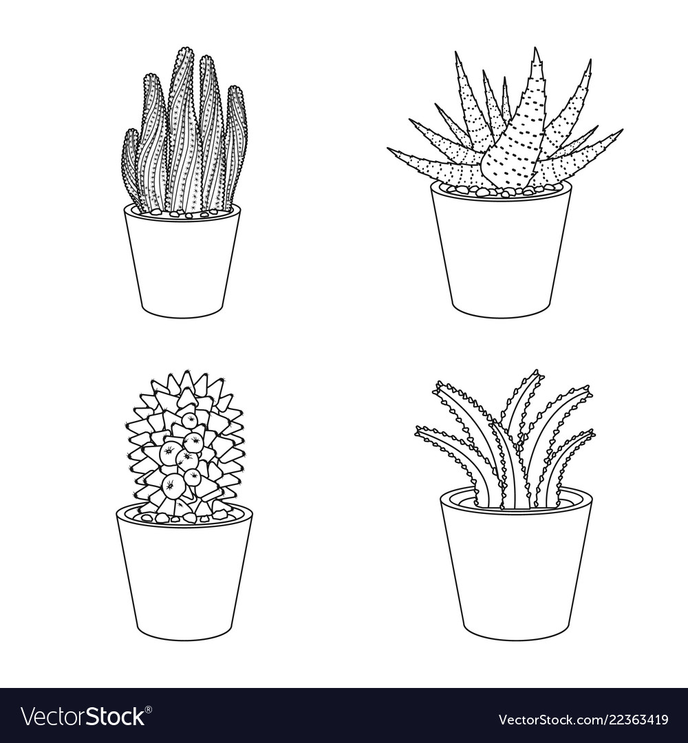 Design of cactus and pot icon set